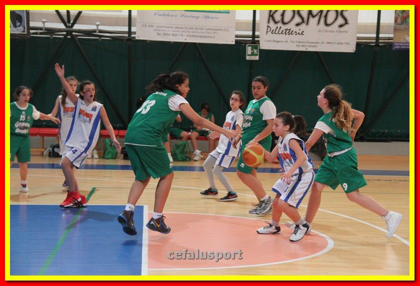 140301 GM_basket 219_tn.jpg